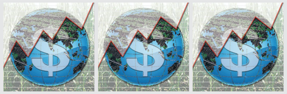 AgMIP Global Economic Research Published in Agricultural Economics