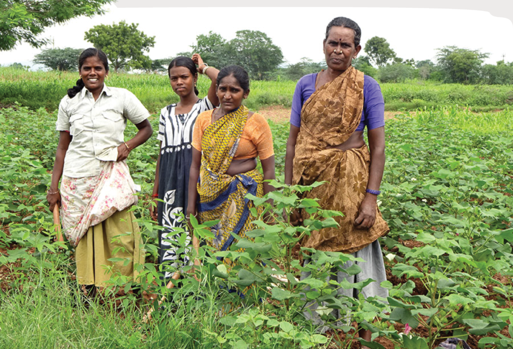 Southern India. 