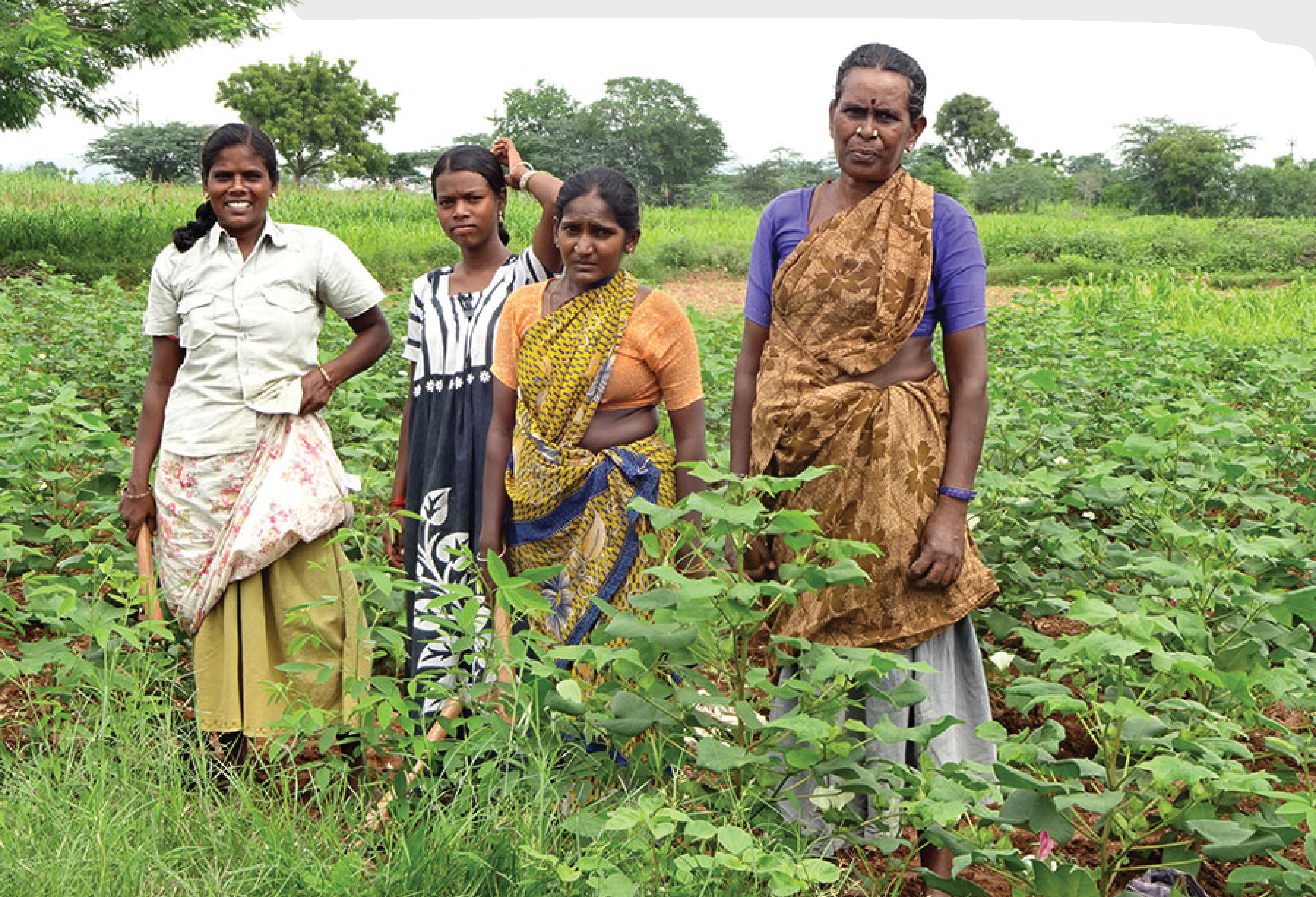 Andhra pradesh ladies