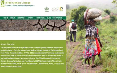 New IFPRI website features climate change & food policy