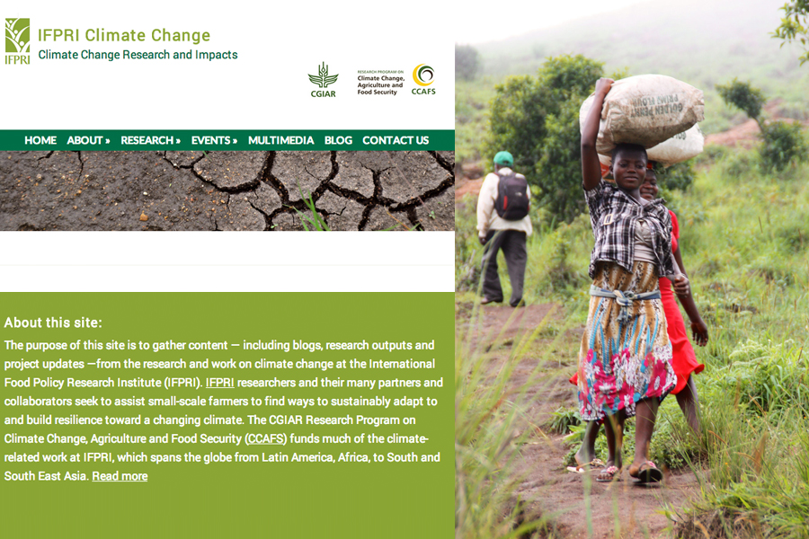 New IFPRI website features climate change & food policy