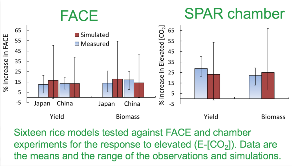 Rsa Modeling Rice Rice - agmiporg