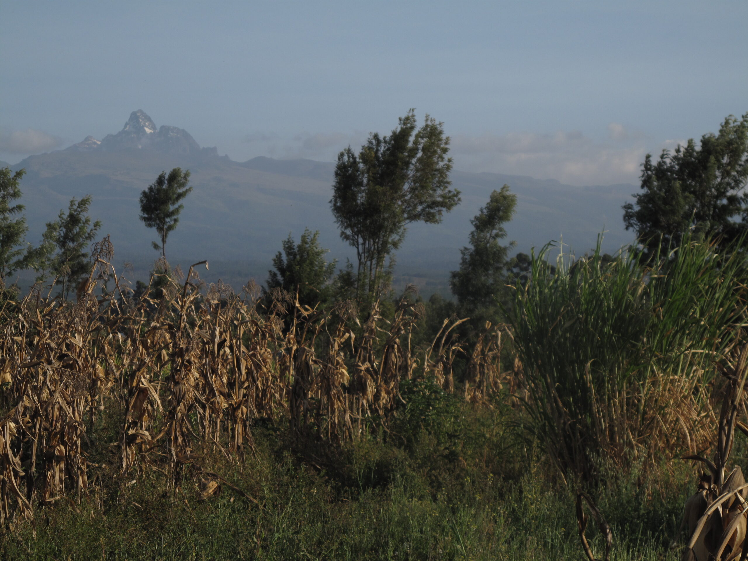Kenya - FieldTrip 058